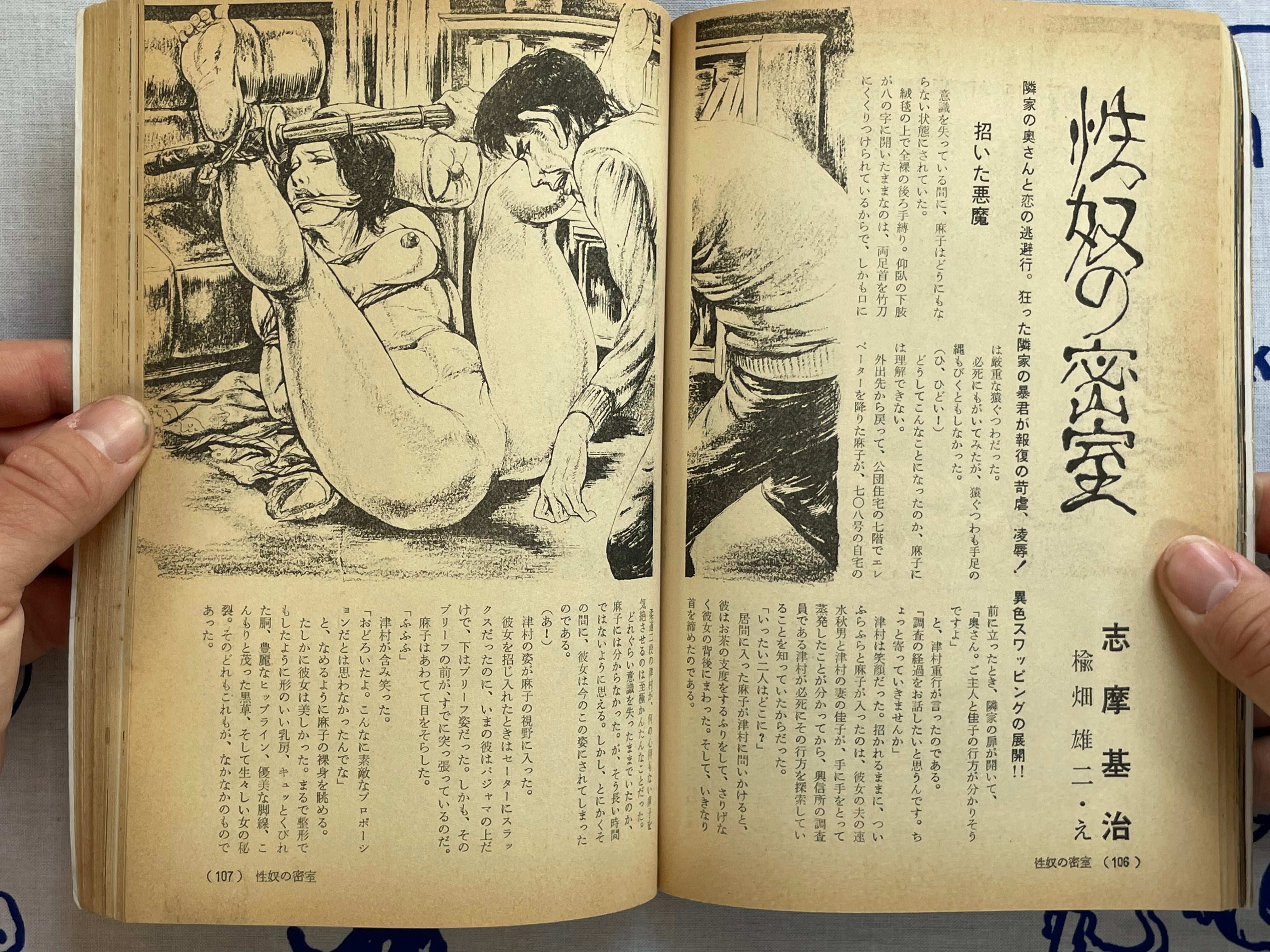 SM Magazine (1979/6)