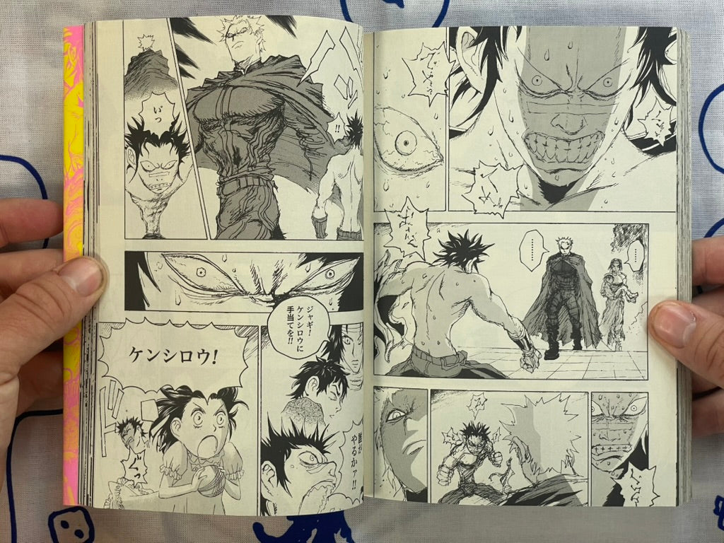 Evil Flowers: Fist of the North Star Jagi Side Story 1-2 Full Set by Shinichi Hiromoto (2009)-thumbmail-13