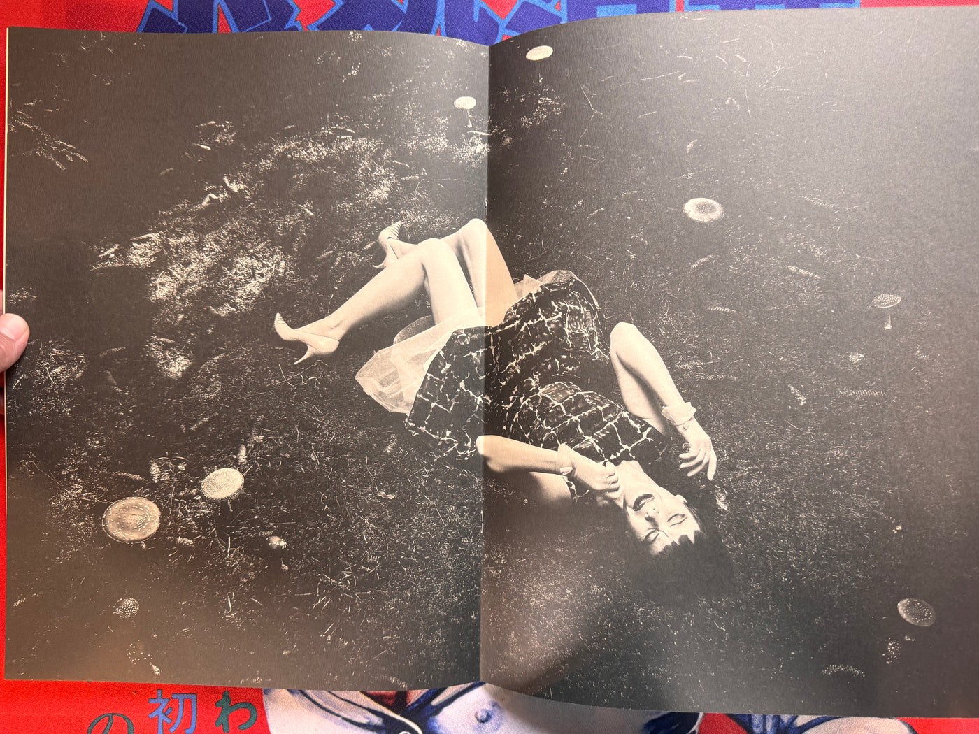 Le Dernier Cri Art Book feat. VA