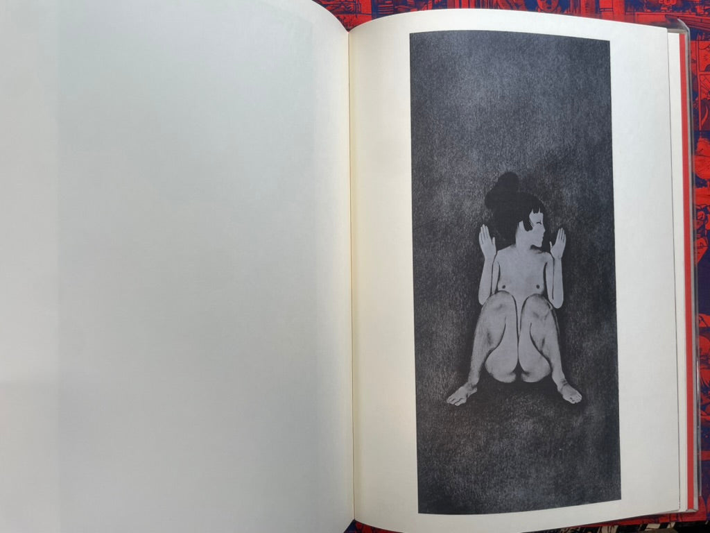 Minscape Beauty Illustrations - Oversized, Slipcover, Hardcover by Hayashi Seiichi (1976)