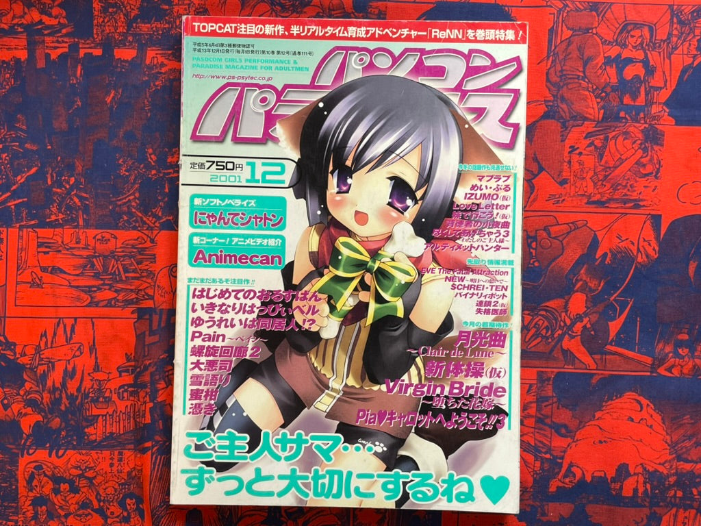 Pasocom Paradise (12/2001)