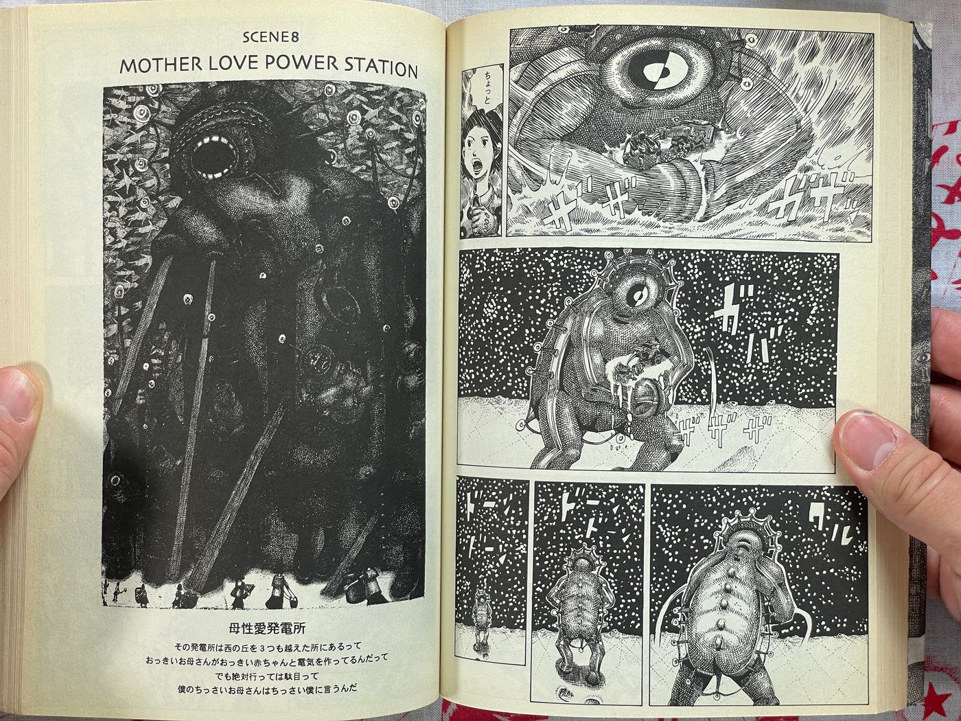 Mother Cosmos by Minoru Sugiyama (2005)