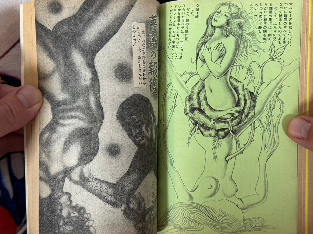 SM Fan Magazine (6/1972)