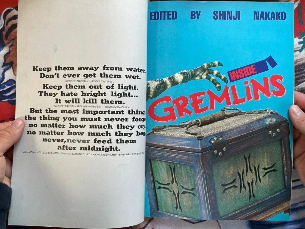 Gremlin 100% by Nakao Shinji (1984)-thumbmail-3