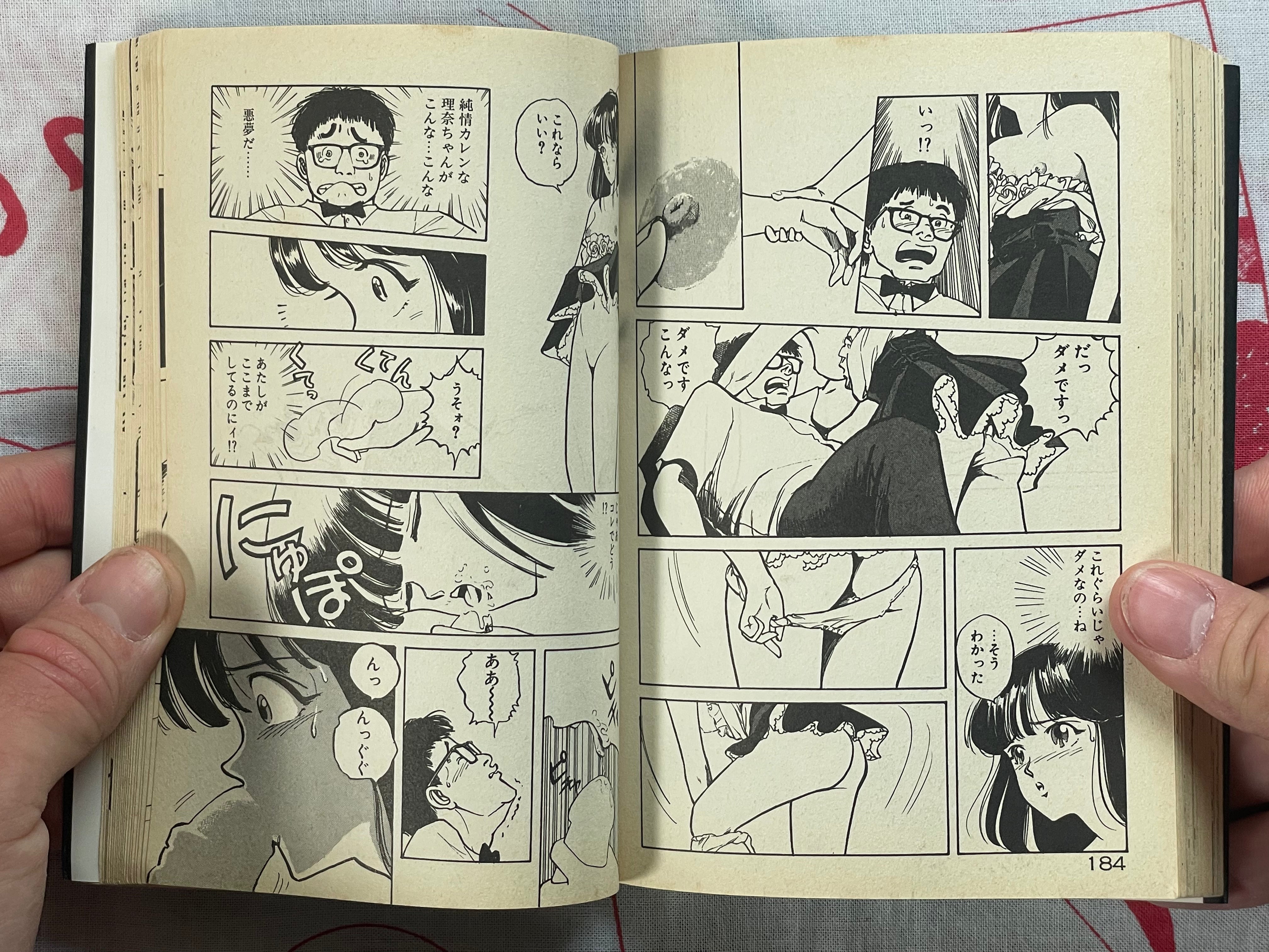 Heart Pounding Lesson - bunko size by Sakabe Noriko (1994)