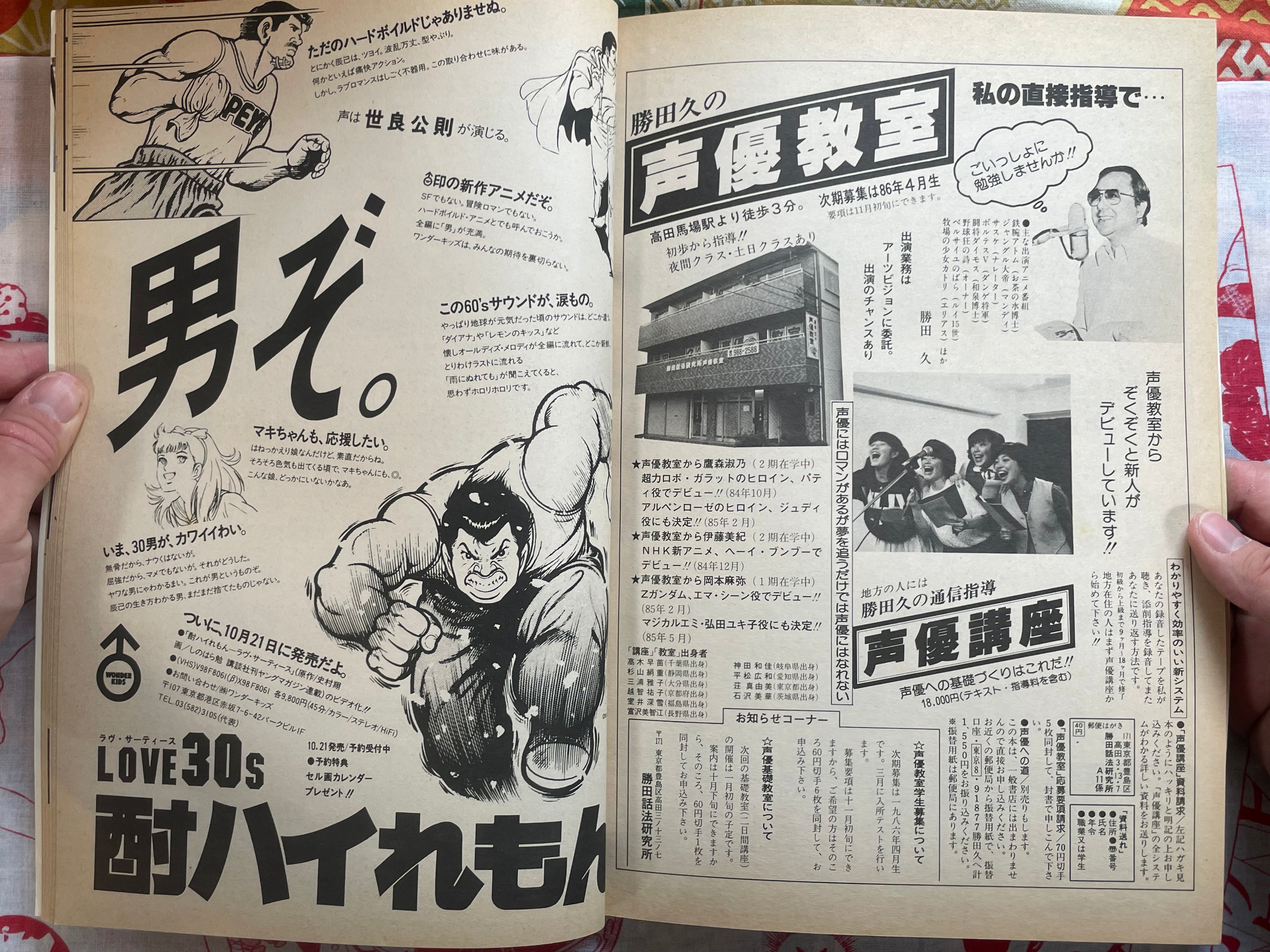 Animage Magazine (11/1985)