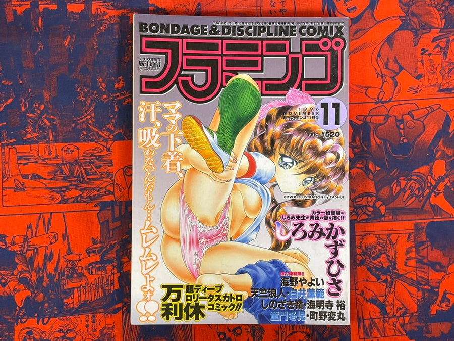 Flamingo Magazine (11/1996)