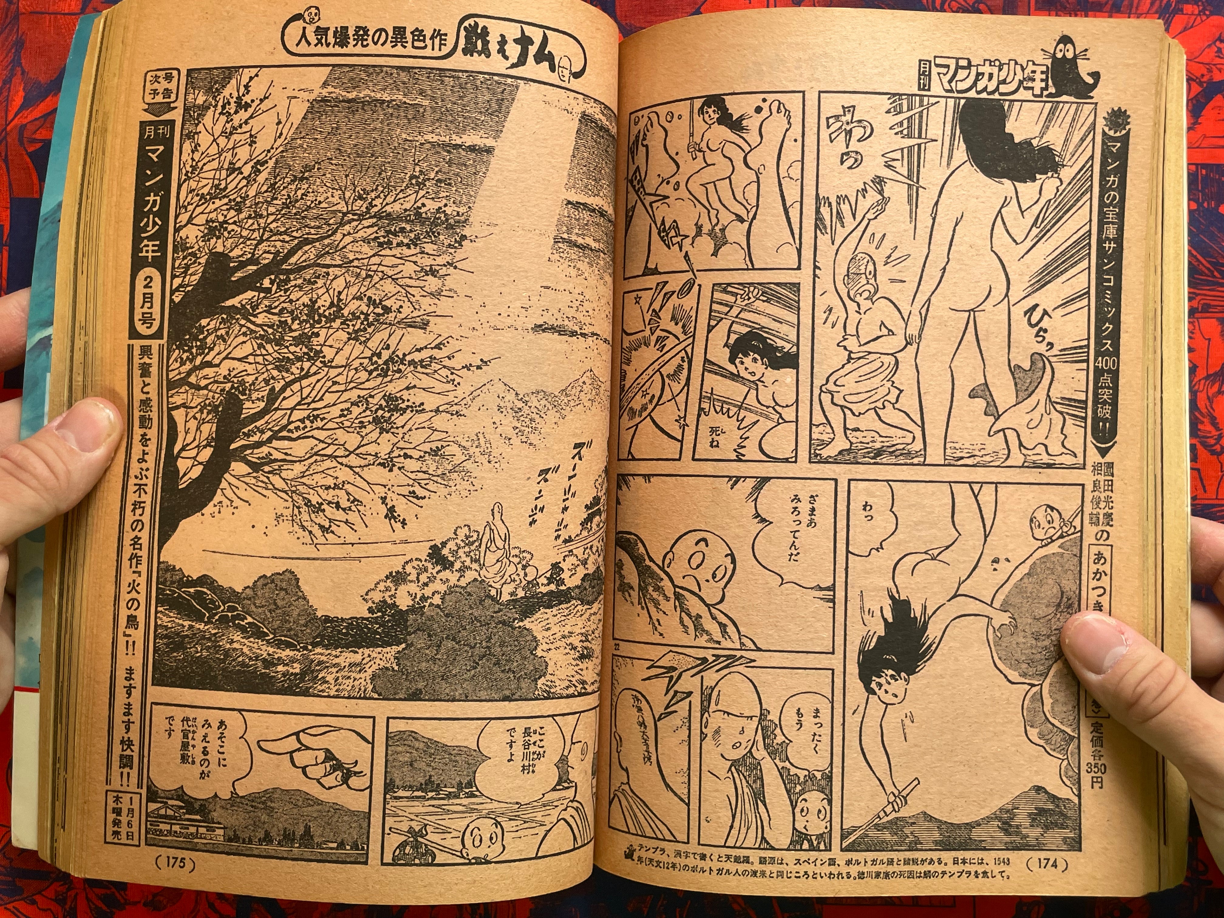 Monthly Manga Shonen Magazine 1-12 Full Set (1977)