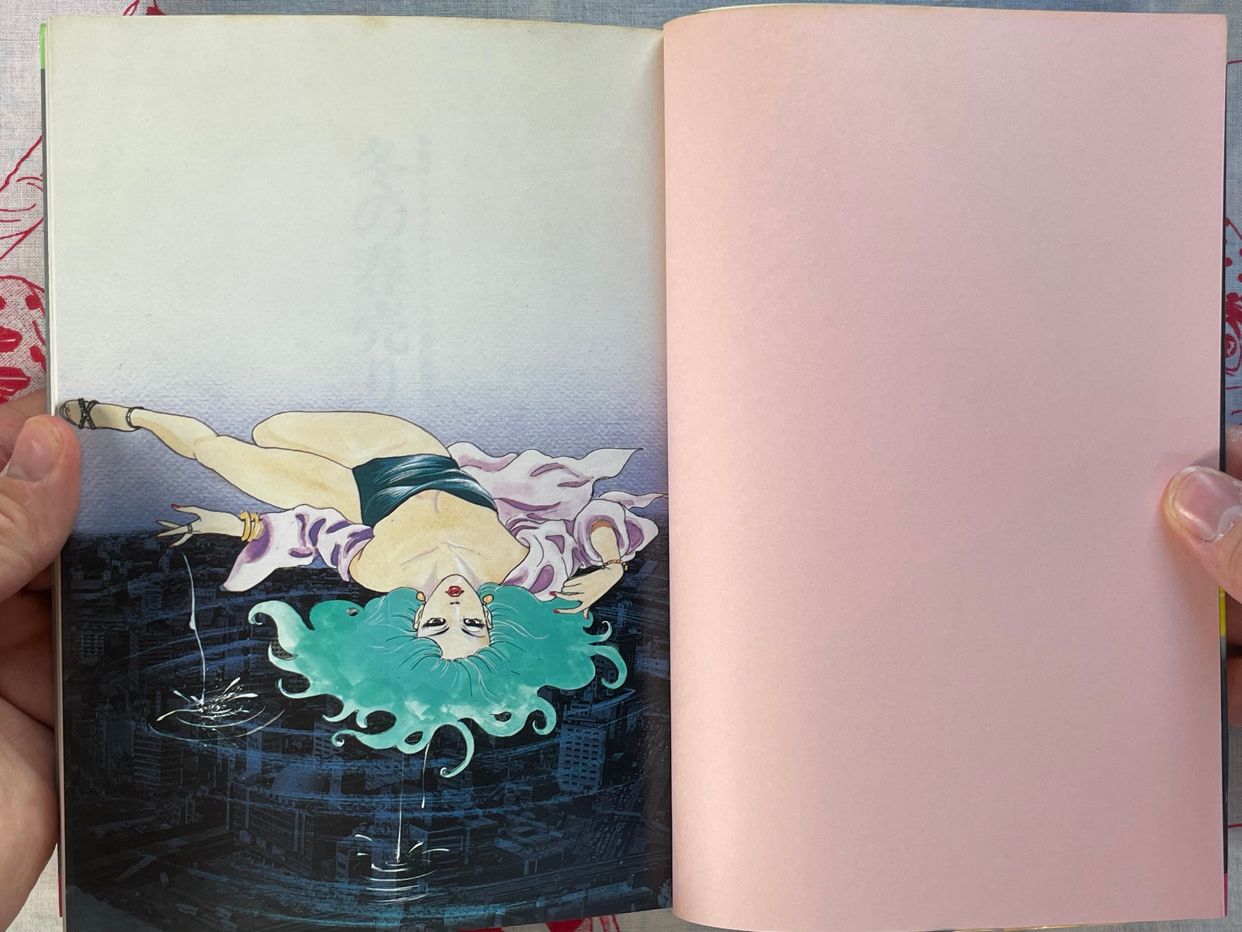 Selling Spring in Winter by Koichiro Iida (1986)