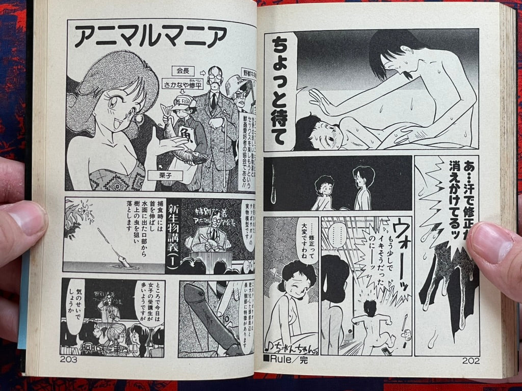 Slightly H Extracurricular Class - Bunko size by Yohki Hi (1994)