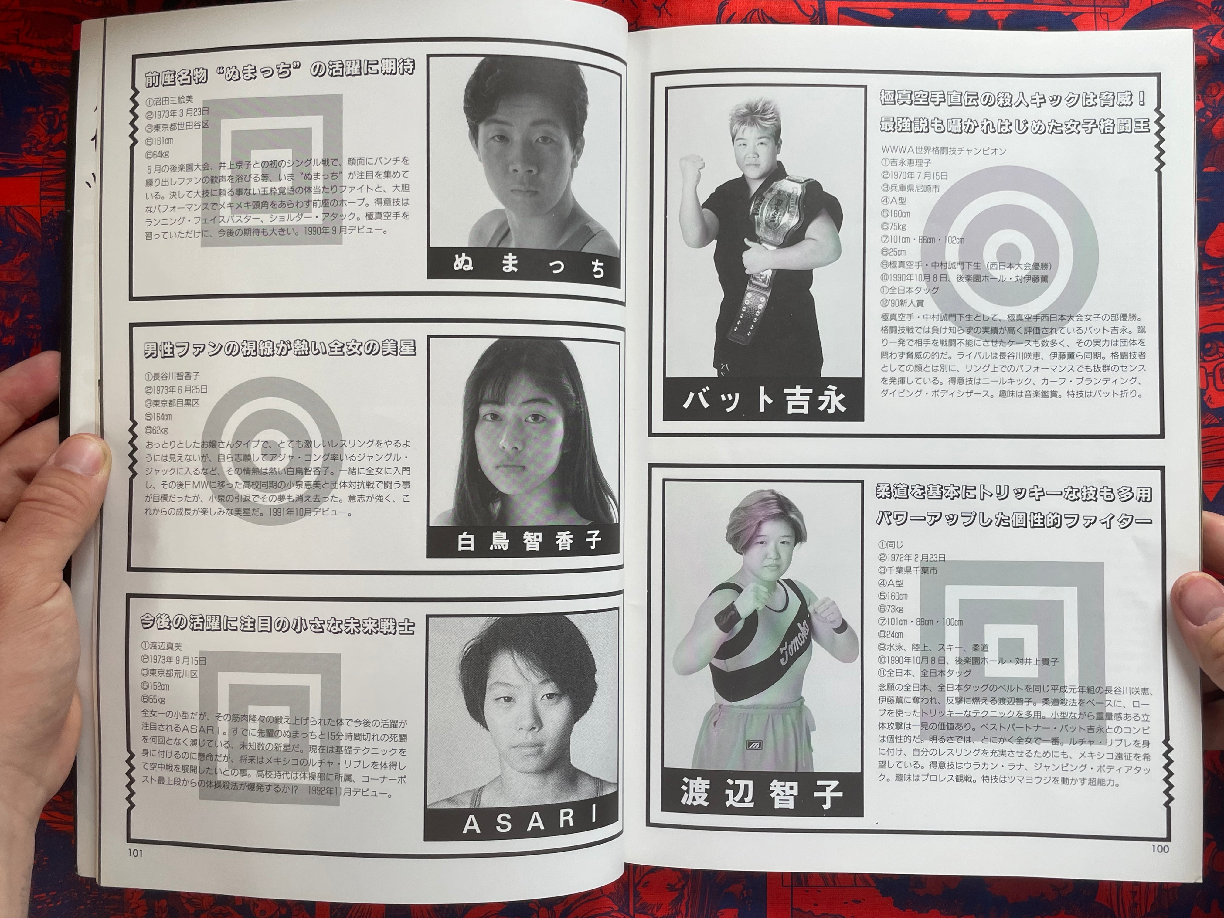 All Japan Women's Pro Wrestling 25th Anniversary Book (1993)