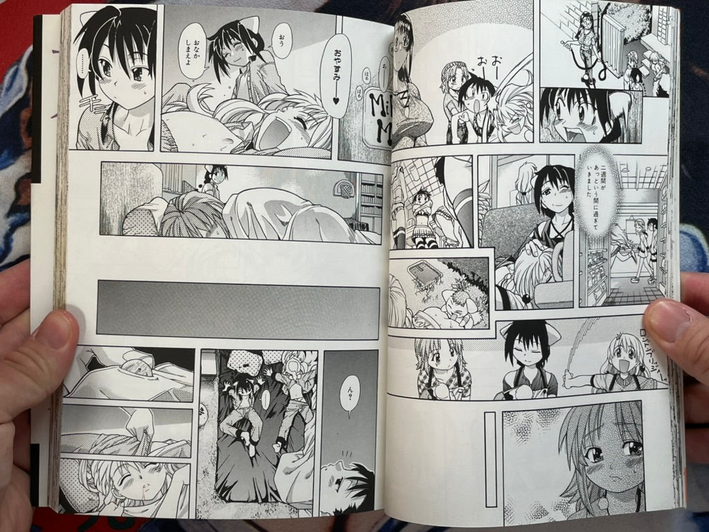Daijobu by Shiwasu no Okina (1999)-thumbmail-7