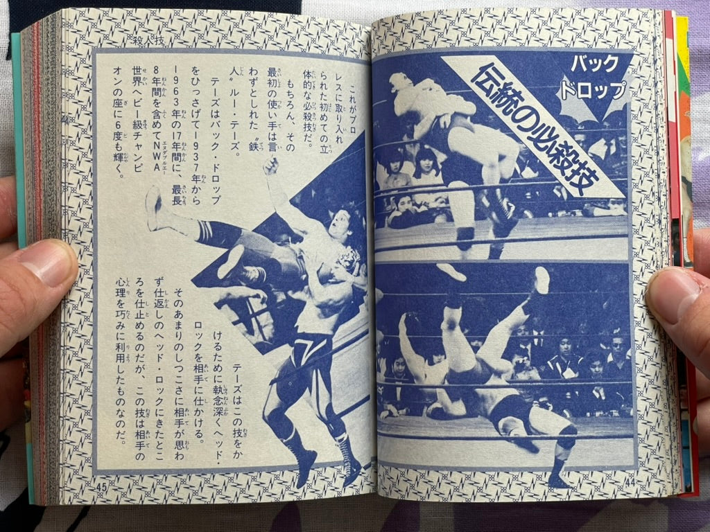 Pro Wrestling Finishing Move Encyclopedia - Bunko Edition (1984)