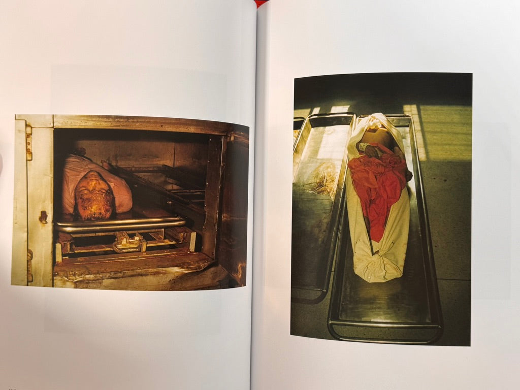 The Dead (2024) by Tsurisaki Kiyotaka