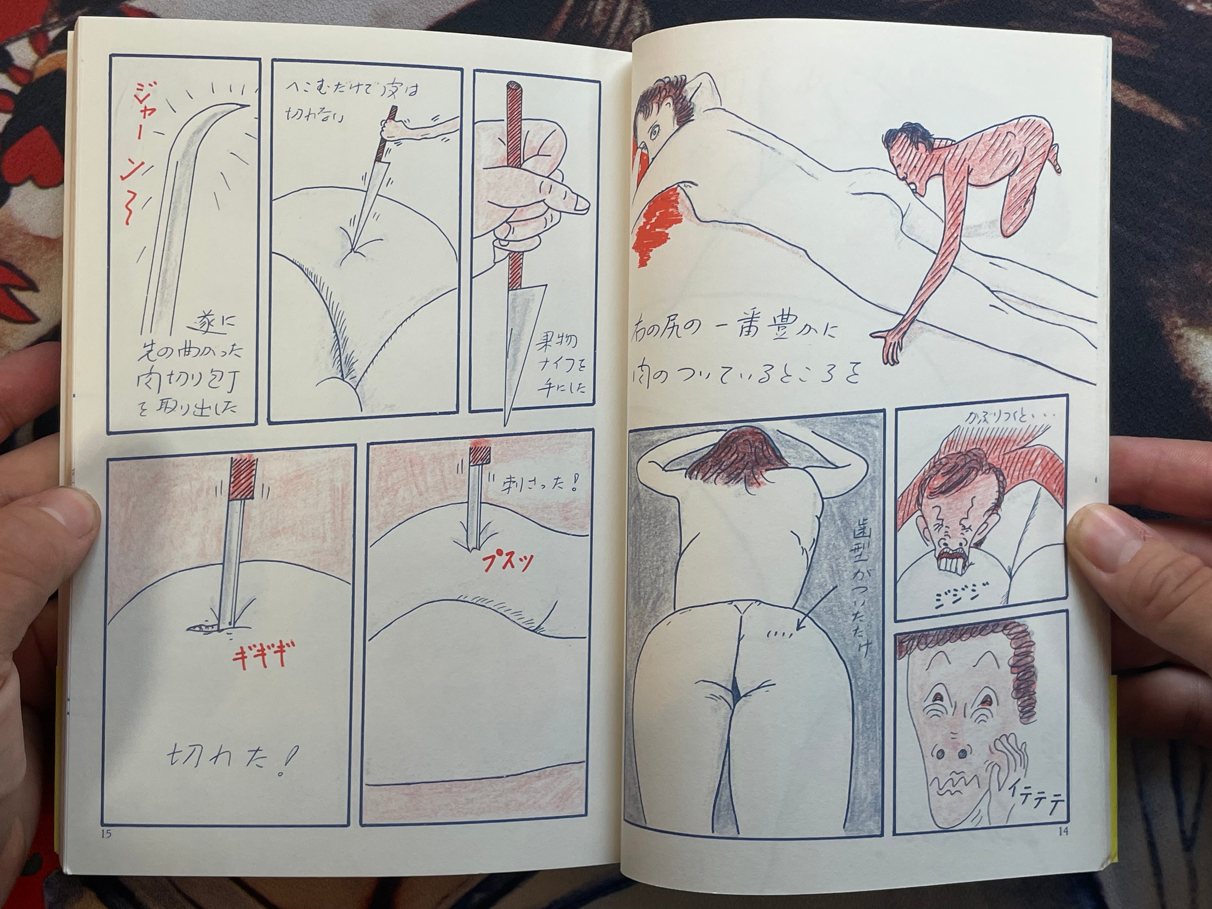 Manga Sagaawa-san by Issei Sagawa (2000/Limited 1000)