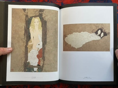 SIGNED Rib of a Hermaphrodite by Yamamoto Takato - Hardcover + Slipcover (2023)