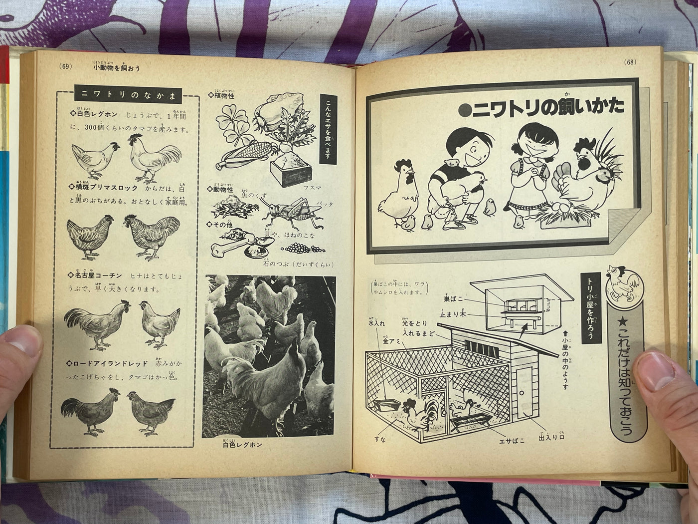 How to Own Pets #4 by Shogakukan (1979)