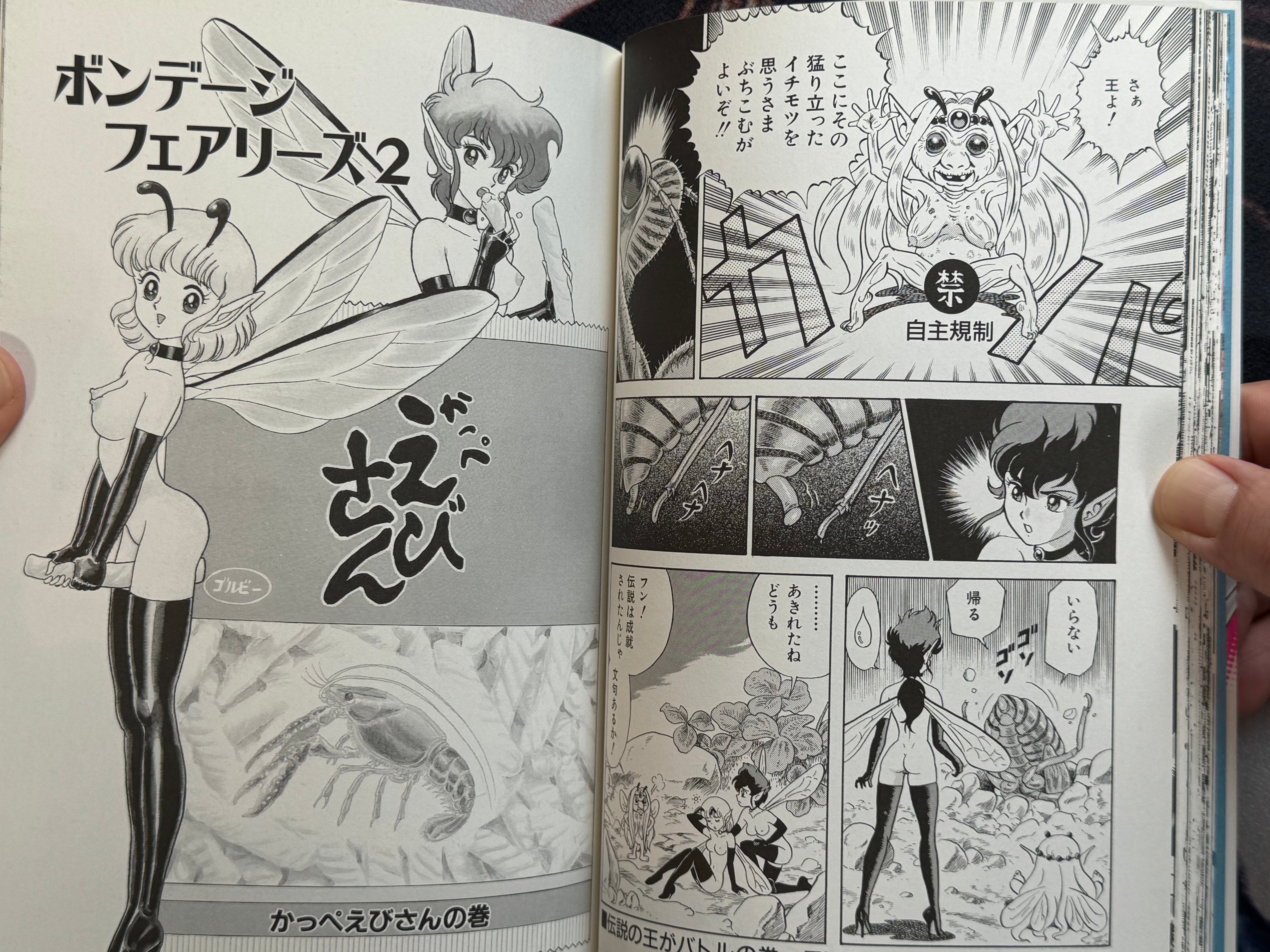 Bondage Fairies 2 by Kondom (1998 Edition)