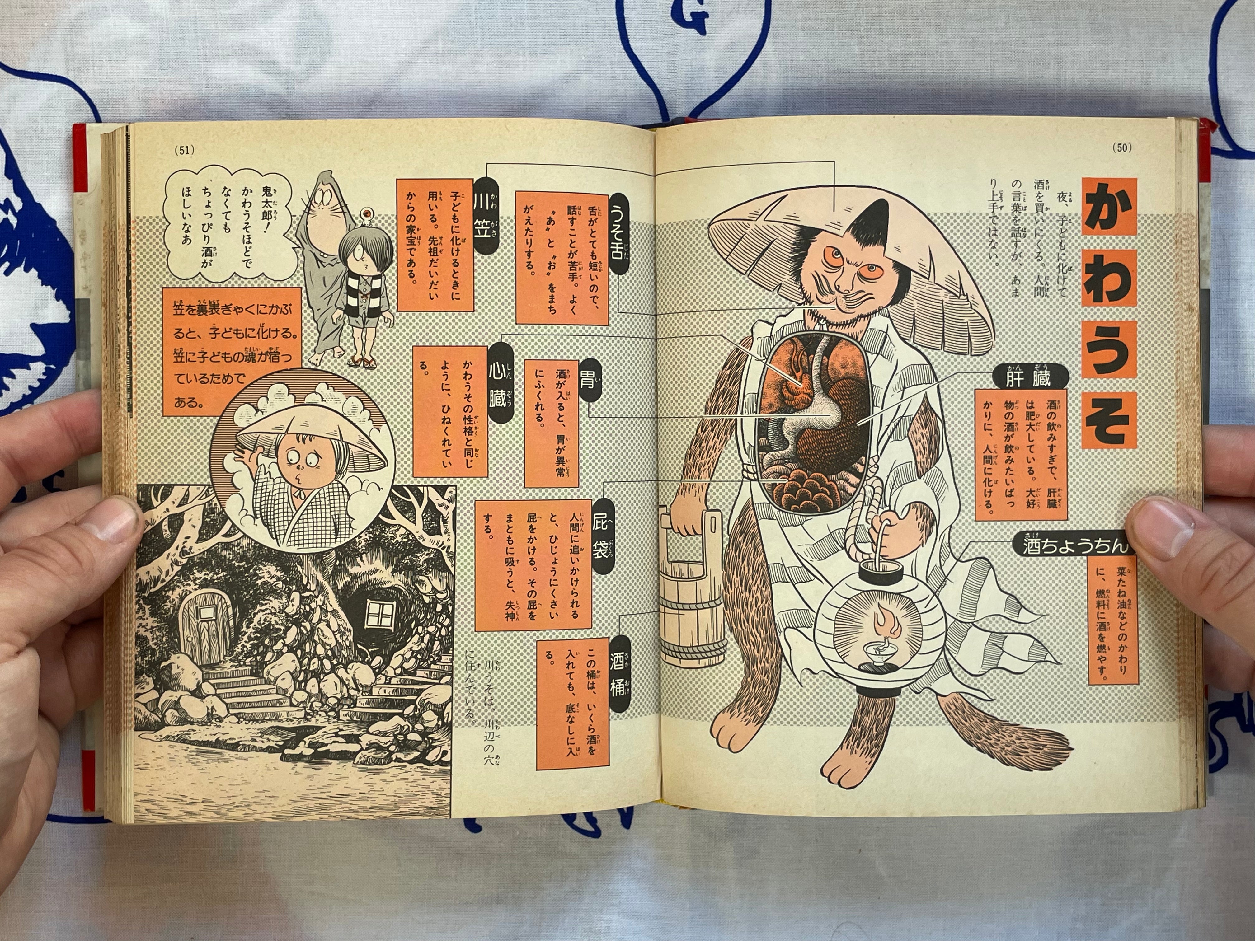 Yokai Pictorial - Hardcover by Mizuki Shigeru (1983) NEEDS DESCRIPTION
