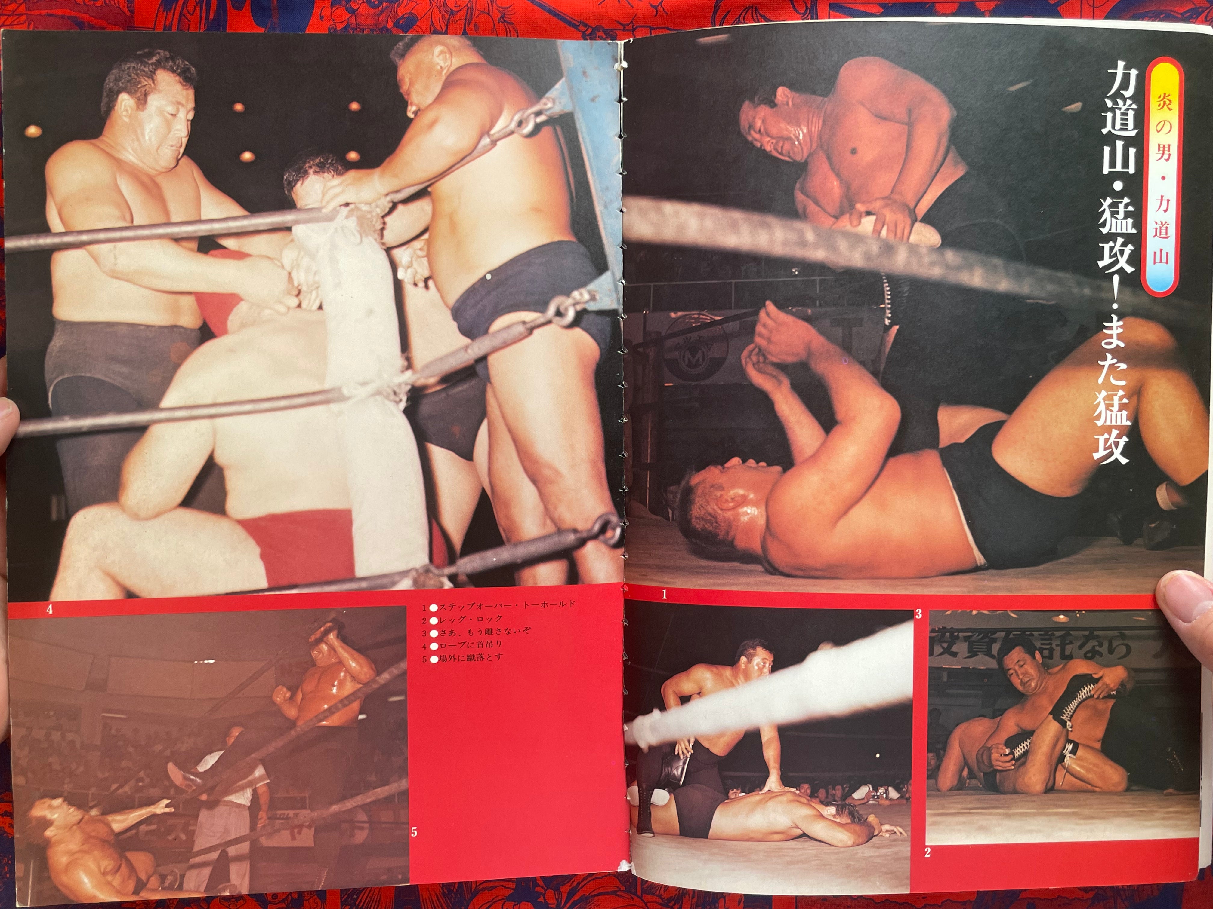 Pictorial History of Pro-Wrestling in Japan (1975)