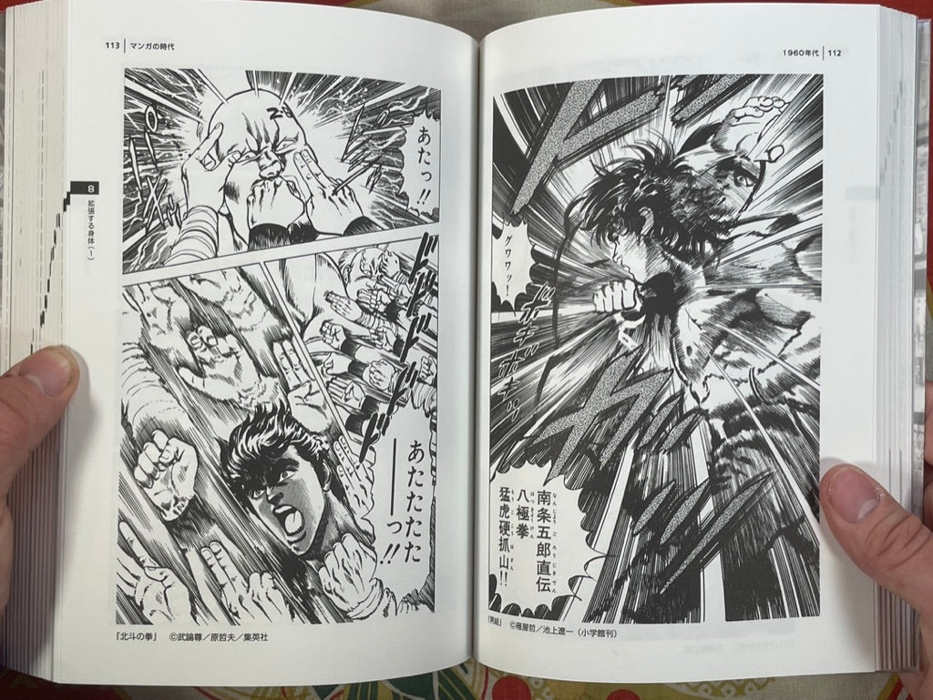 The Manga Age: Everything from Tezuka Osamu to Evangelion (1998)