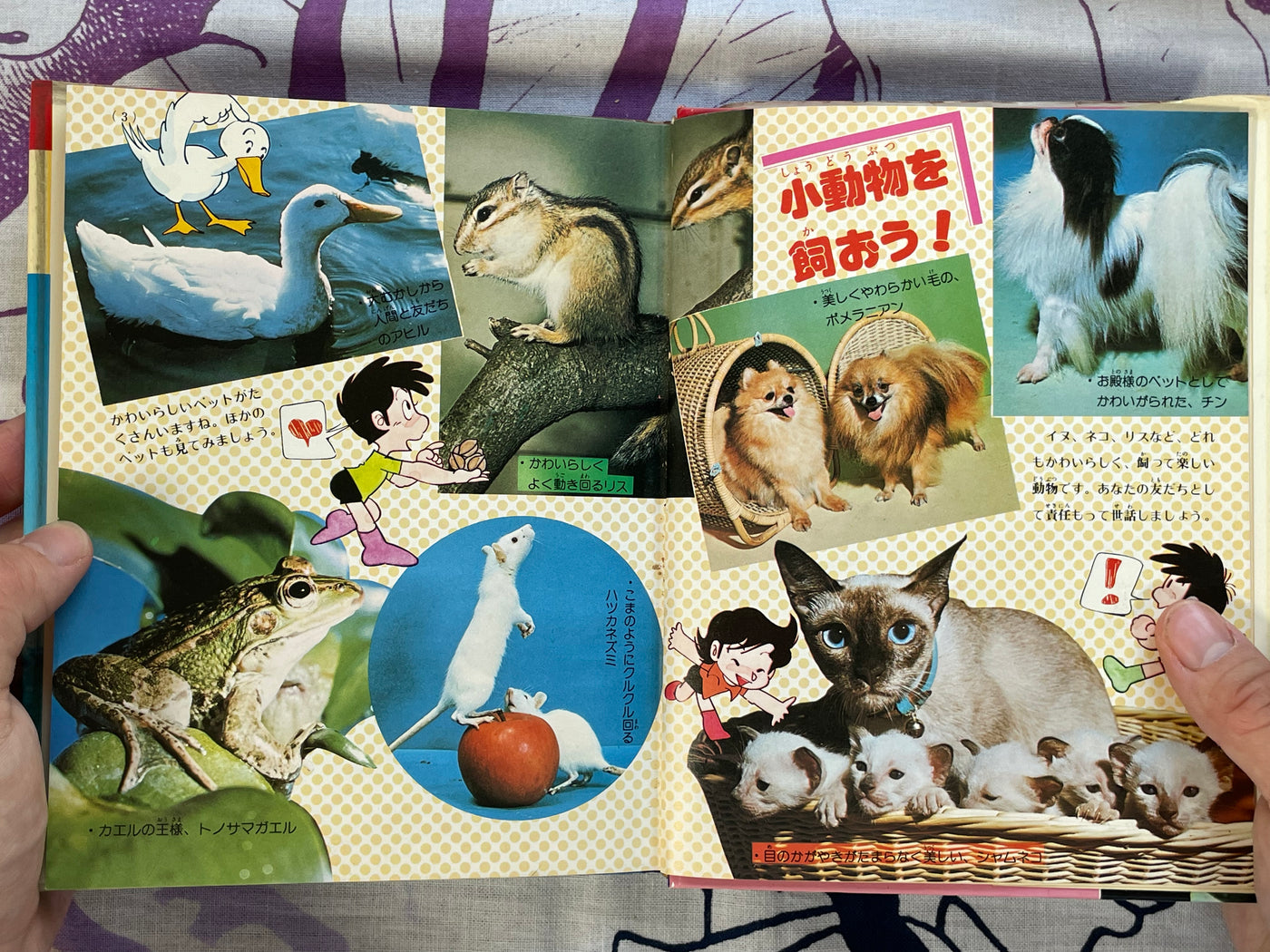 How to Own Pets #4 by Shogakukan (1979)