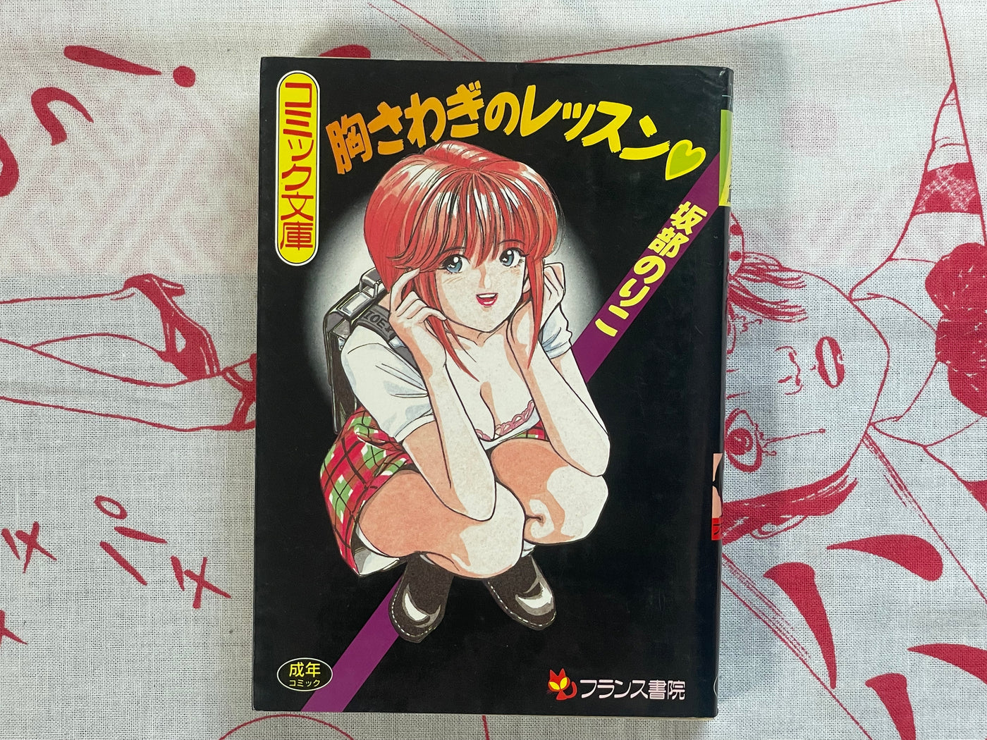 Heart Pounding Lesson - bunko size by Sakabe Noriko (1994)