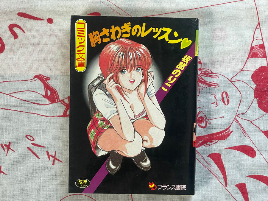 Heart Pounding Lesson - bunko size by Sakabe Noriko (1994)