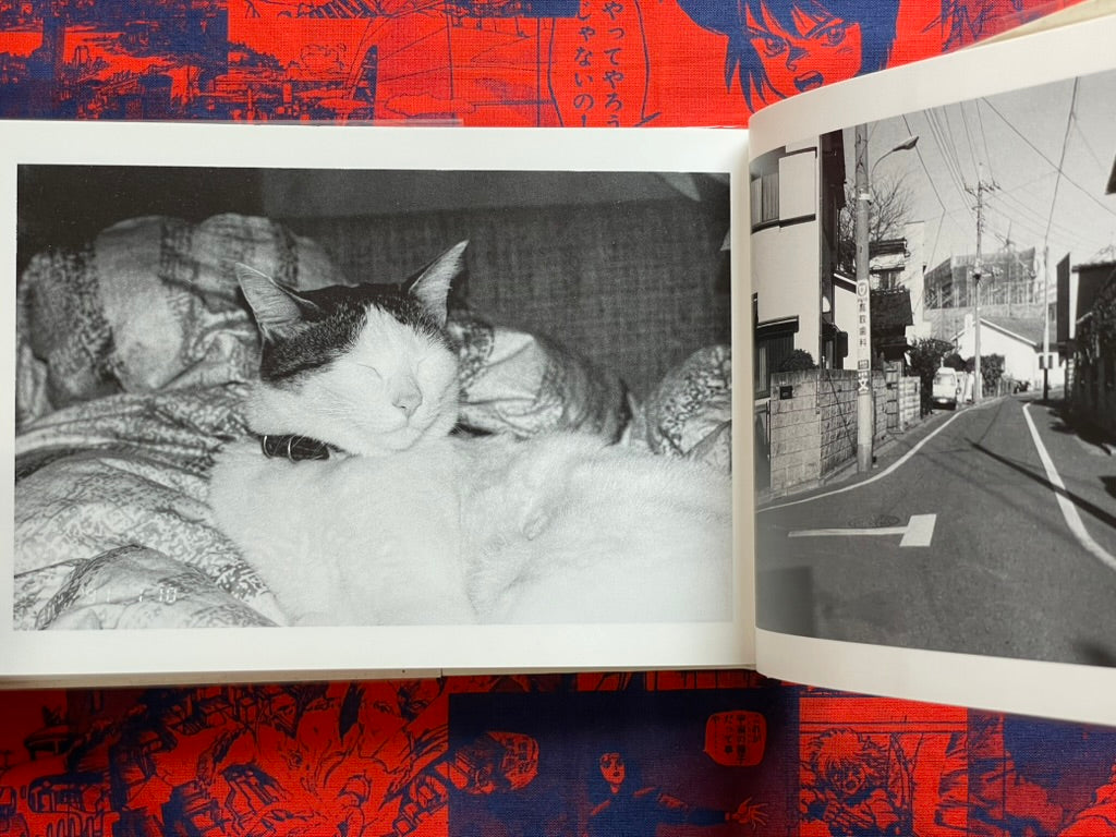 Photo Crazy Person's Diary: Year '91 Spent with Chiro - Hardcover by Nobuyoshi Araki (1992)