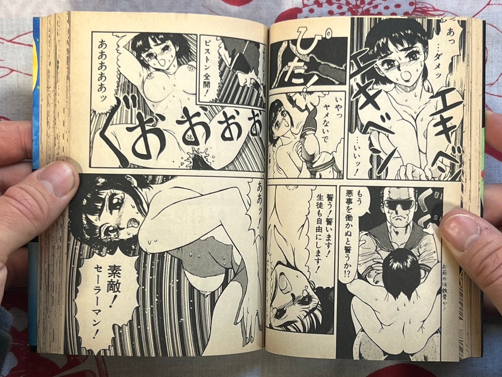 Big Panic for That Girl! - bunko size by Kenzaki Mikuri (1991)