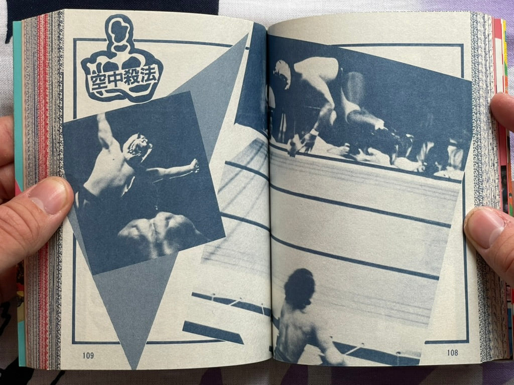 Pro Wrestling Finishing Move Encyclopedia - Bunko Edition (1984)