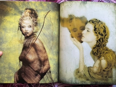 Abyss - Hardcover by Hiroshi Nonami (1993)