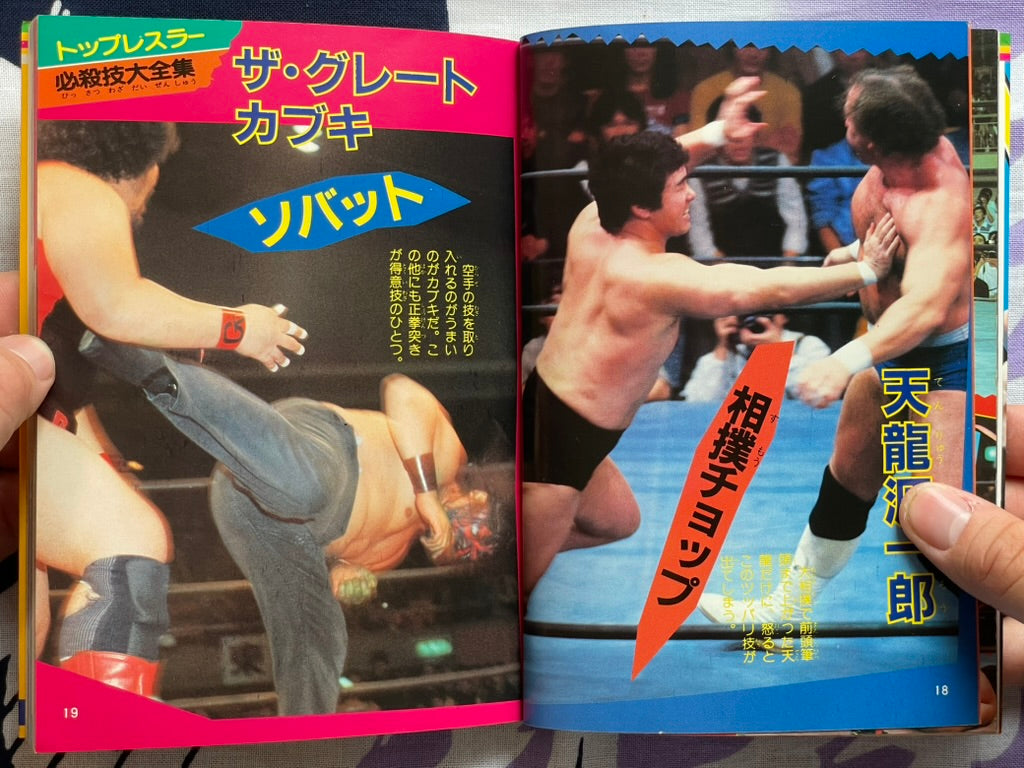 Pro Wrestling Finishing Move Technique by Big Wrestler (1984)