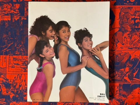 Weekly Playboy Model Catalogue 555 (1983)