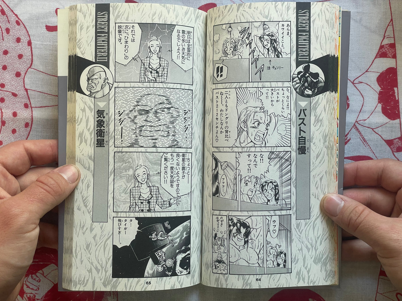 Street Fighter II 4 Panel Gag Gaiden #5 by Takashi Hashiguchi (1995)