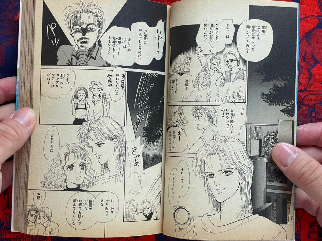 Evil Spirit World by Maiko Asano (1992)