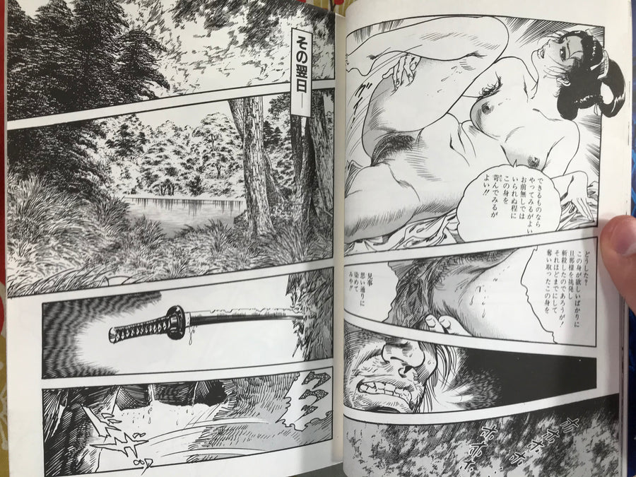 Hidden Color Beauty Mark by Ken Tsukikage (1999)