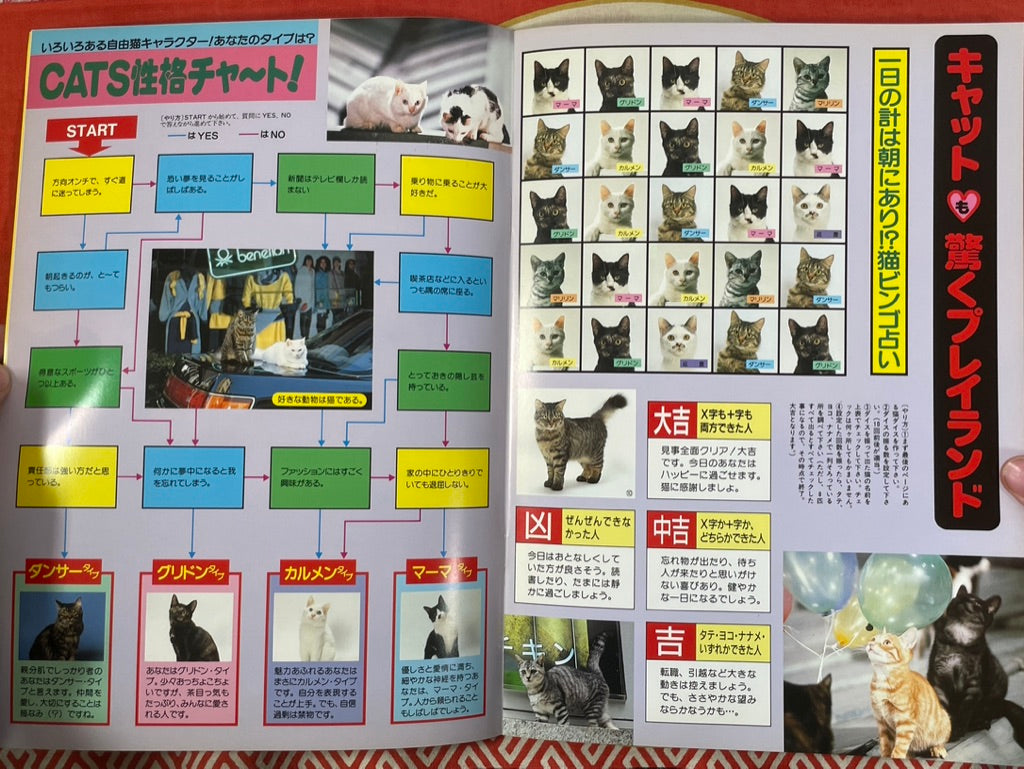 Movie Pamphlet: Cats on Park Street (1989)