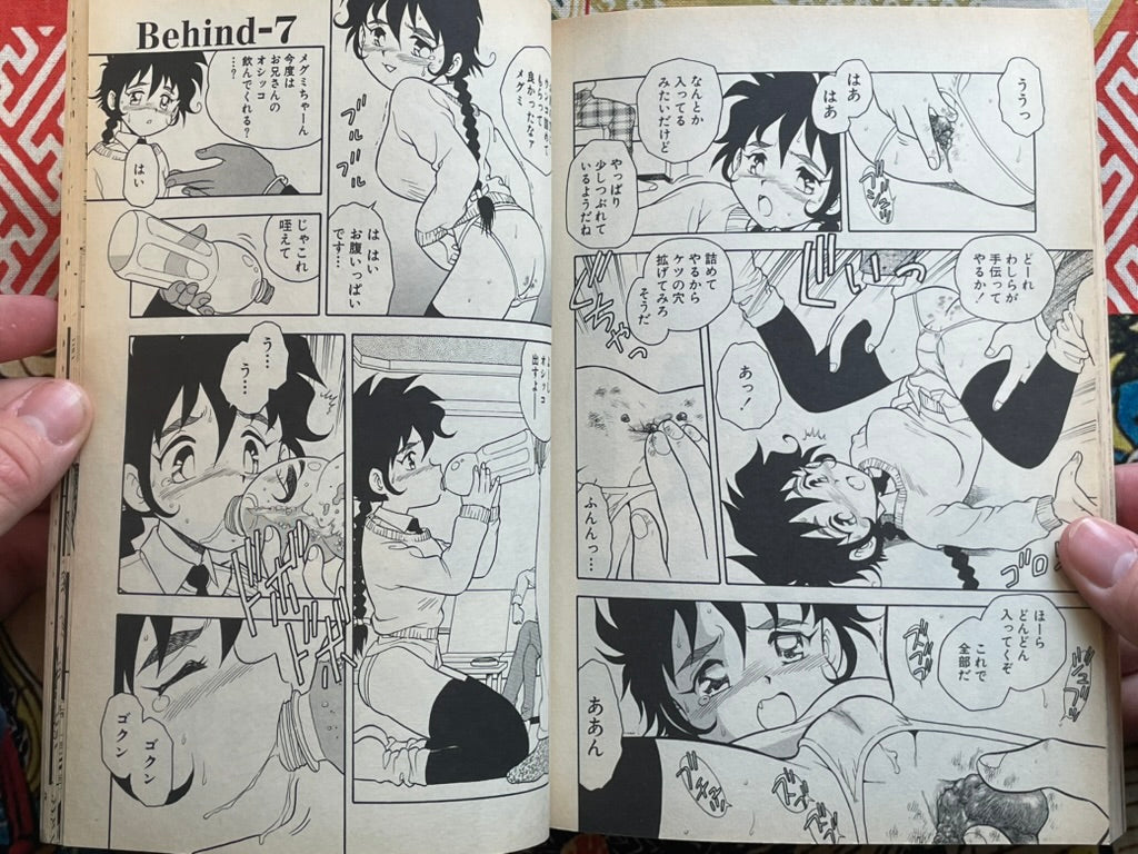 Flamingo Magazine (2/1995)