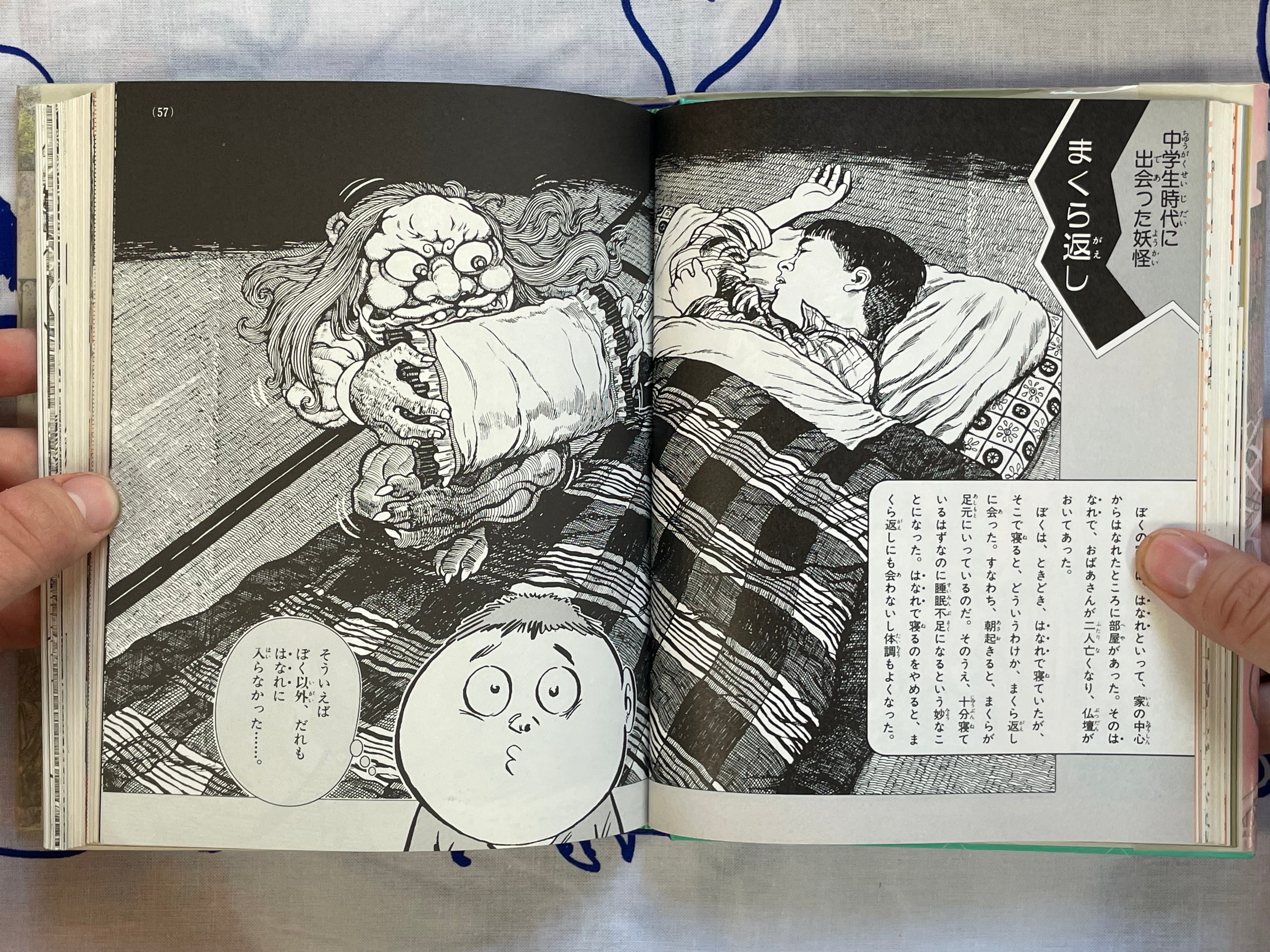 Introductory Yokai Professor - Hardcover by Mizuki Shigeru (1989)