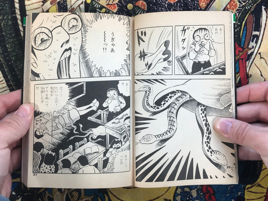Bug Boy 毒虫小僧 by Hino Hideshi (1982)