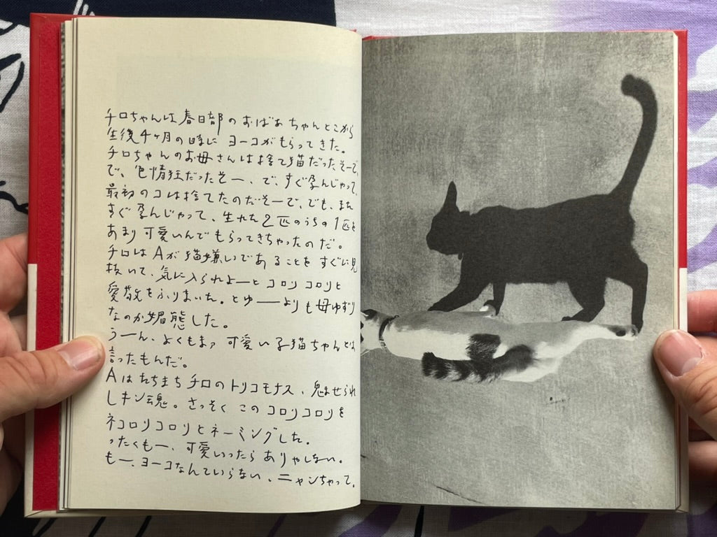 Chiro, My Love - Hardcover by Nobuyoshi Araki (1990)