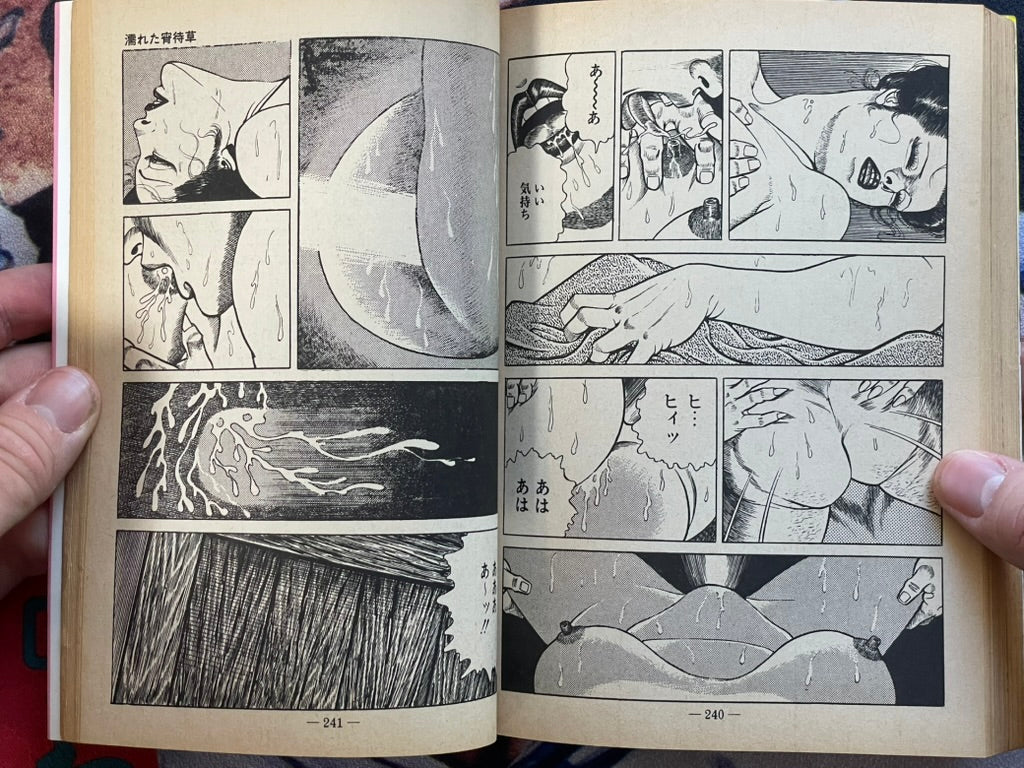 Moan at the Whip by Sugawara Takuya (1981)