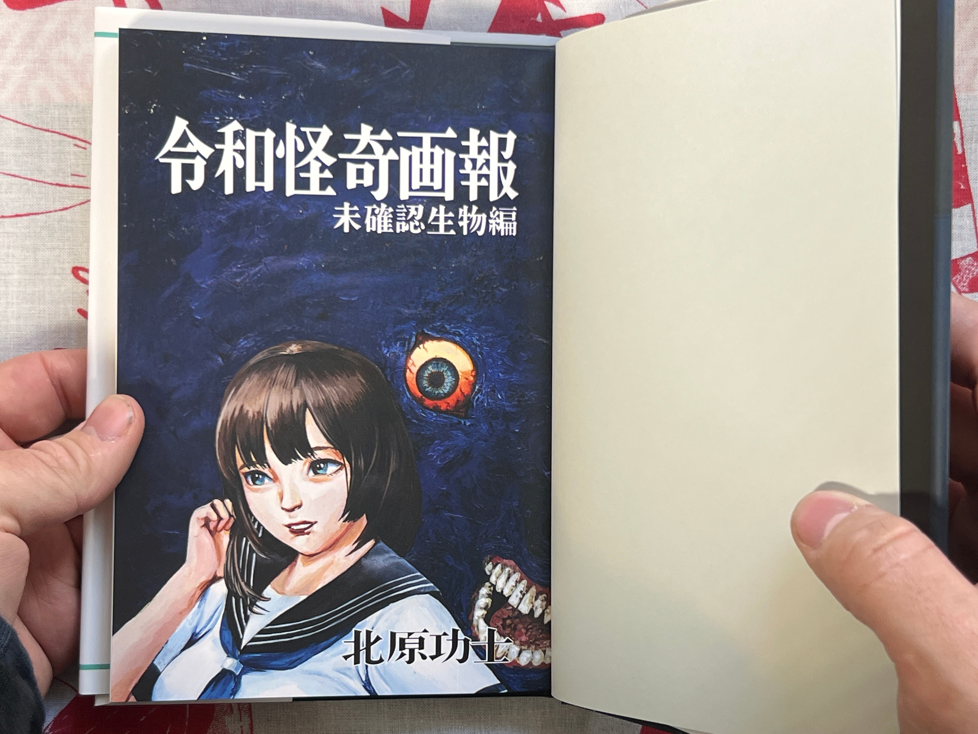 Reiwa Bizarre Pictorial - Cryptid Edition by Kouji Kitahara (2024)