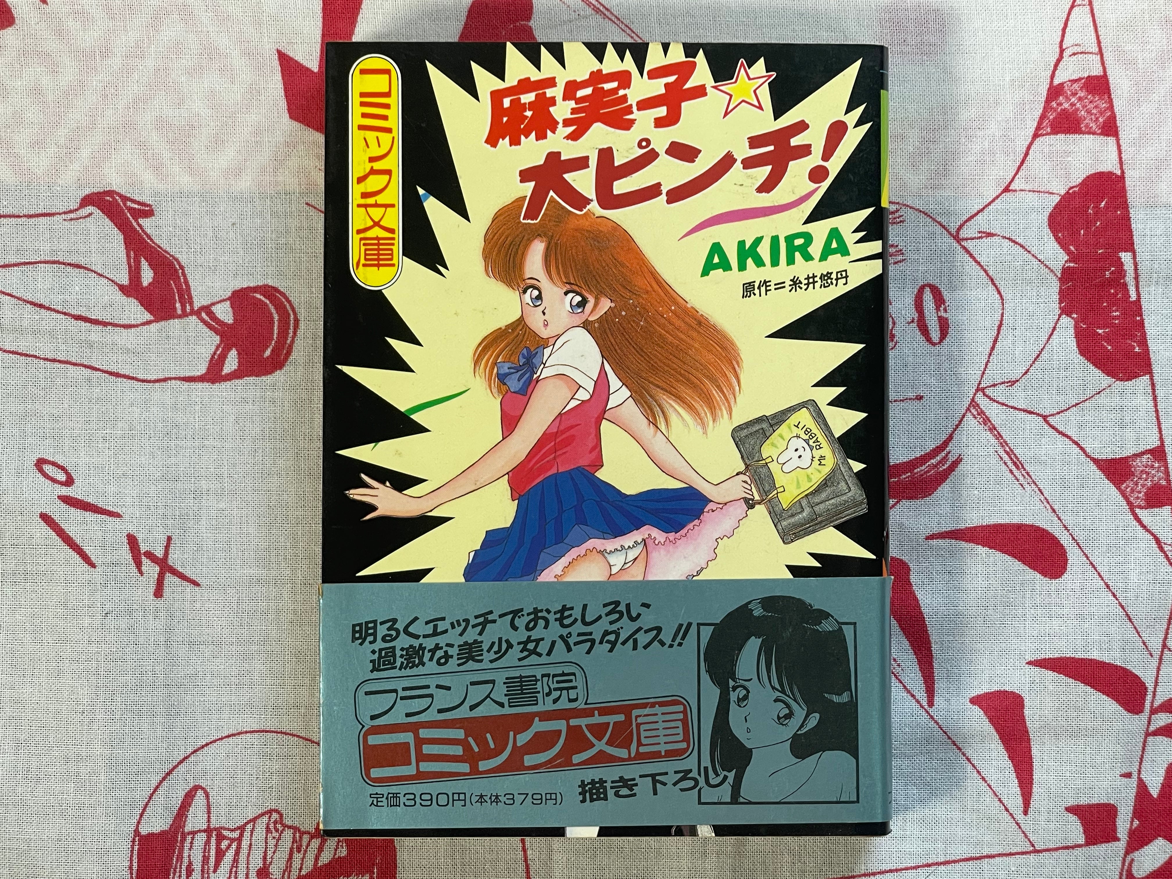 Big Pinch for Mamiko - bunko size by Akira (1990)