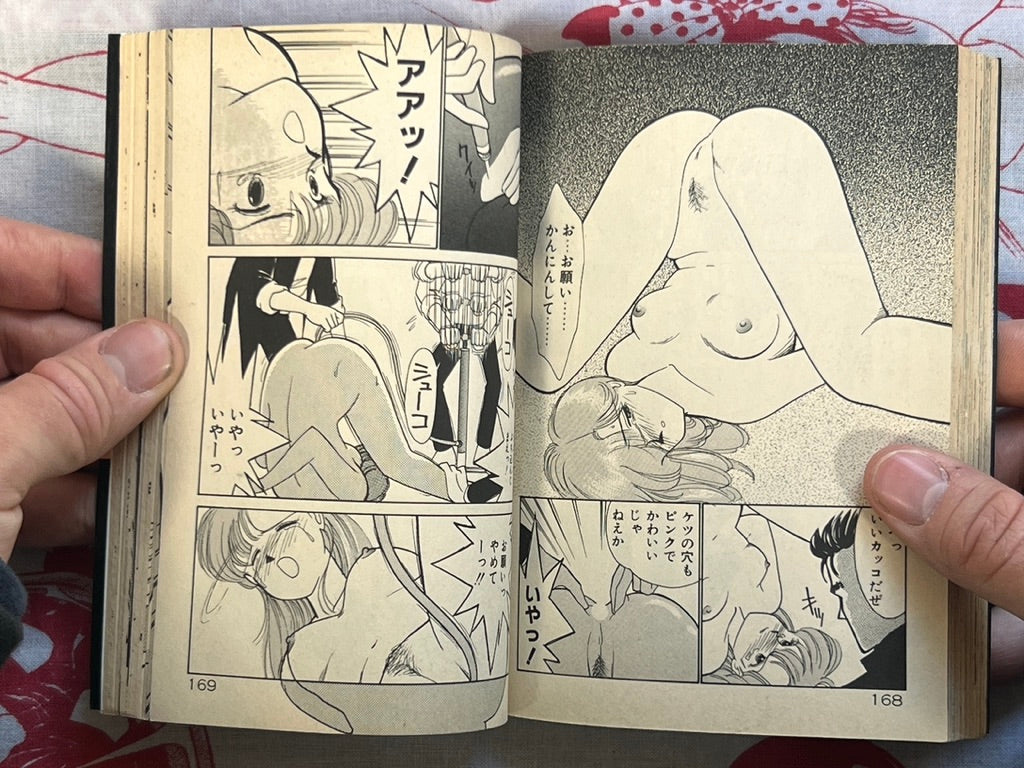 Tokimeki C Girl Bunko Edition by Arimura Shinobu (1991)