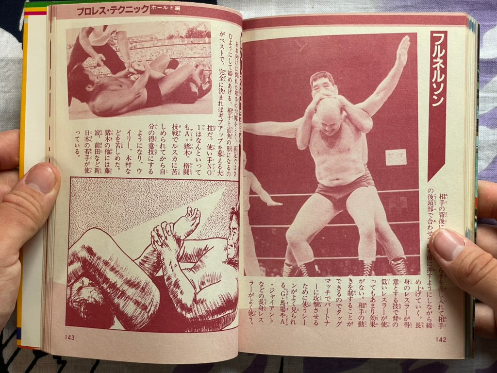 Pro Wrestling Finishing Move Technique by Big Wrestler (1984)
