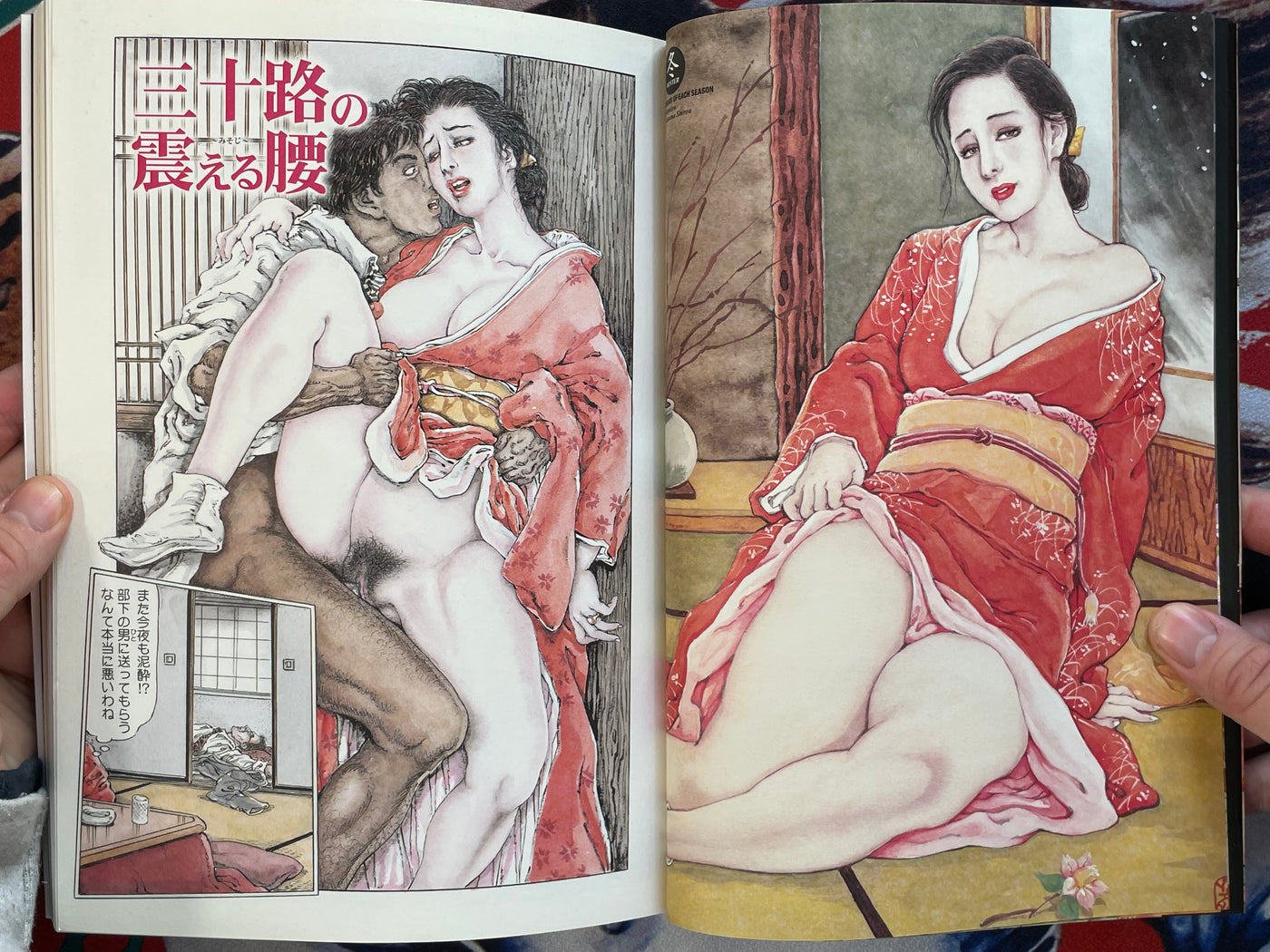 Kindan no Enjukufujin by Kasama Shirou (2006)