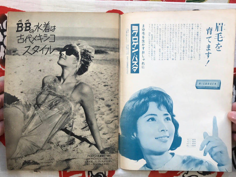Beppu Manga Sunday (1965)