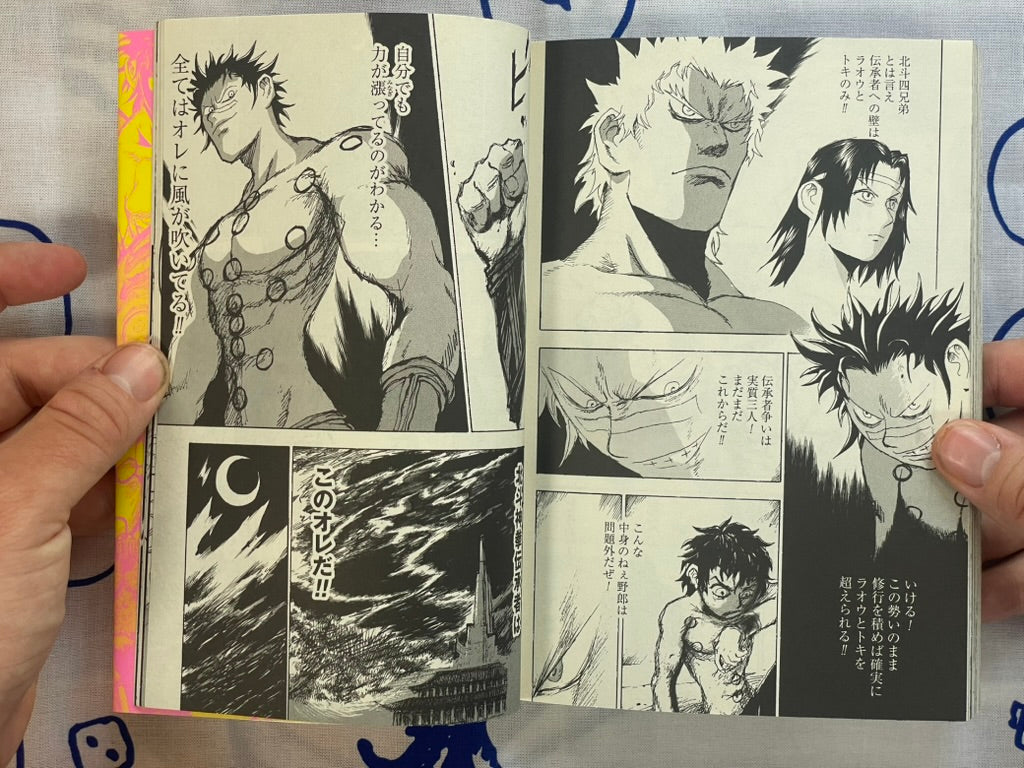 Evil Flowers: Fist of the North Star Jagi Side Story 1-2 Full Set by Shinichi Hiromoto (2009)-thumbmail-19
